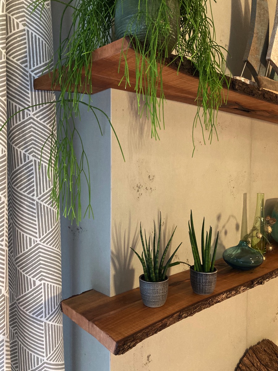 Regale aus Birnbaum mit natürlicher Baumkante